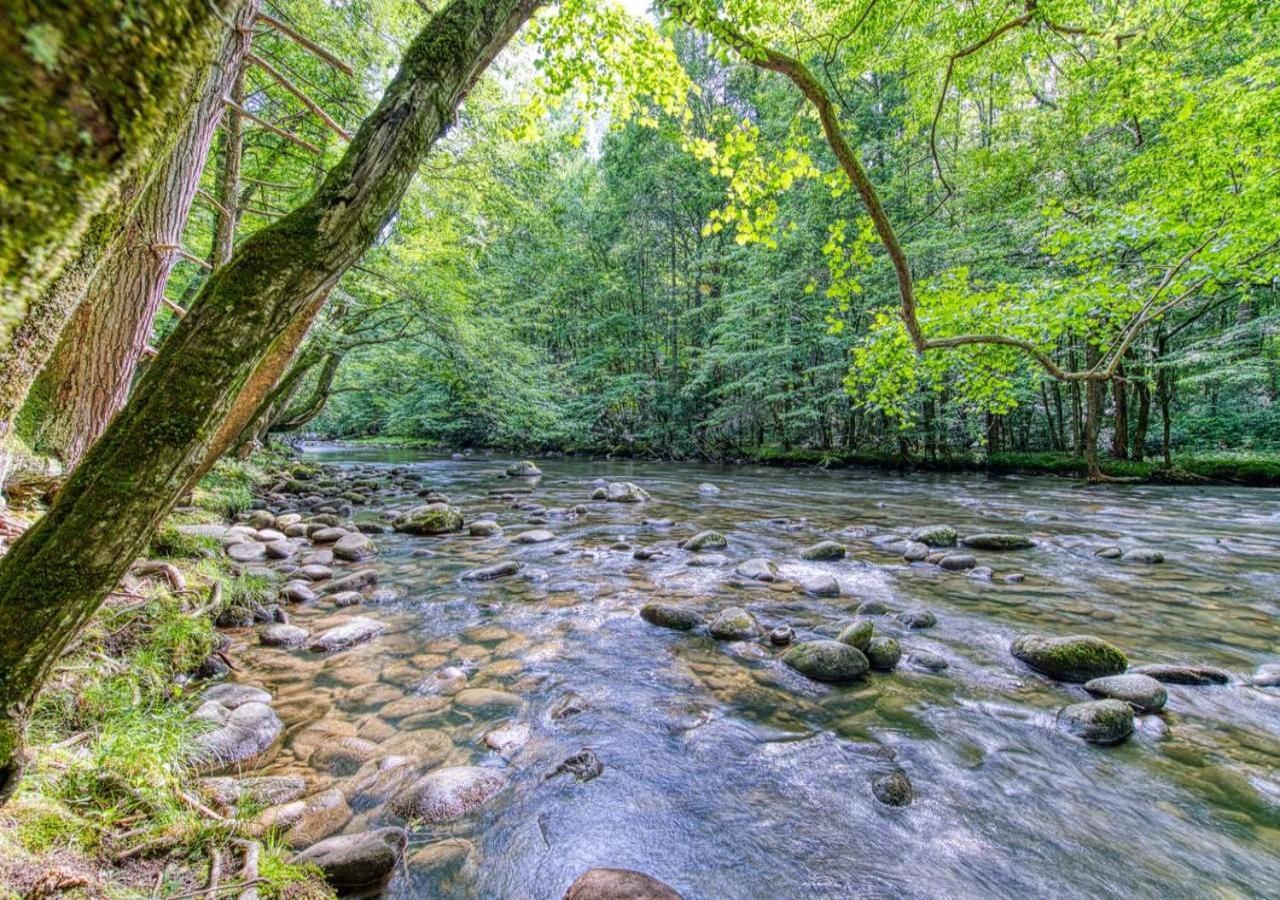 The Grand Orchard Lodge - Gatlinburg, Tn Kültér fotó